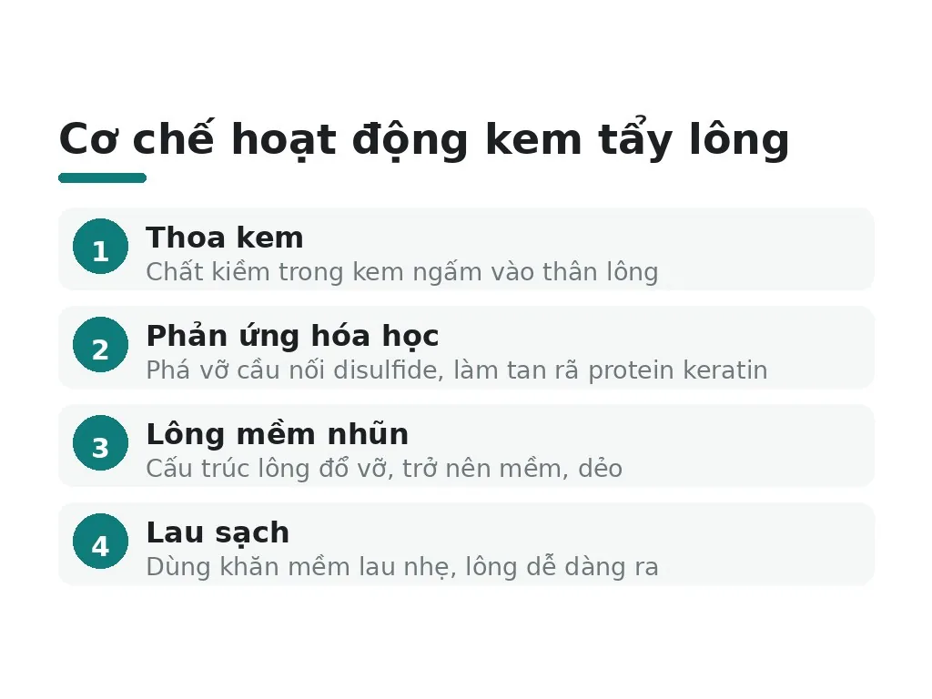 Cơ chế hoạt động kem tẩy lông