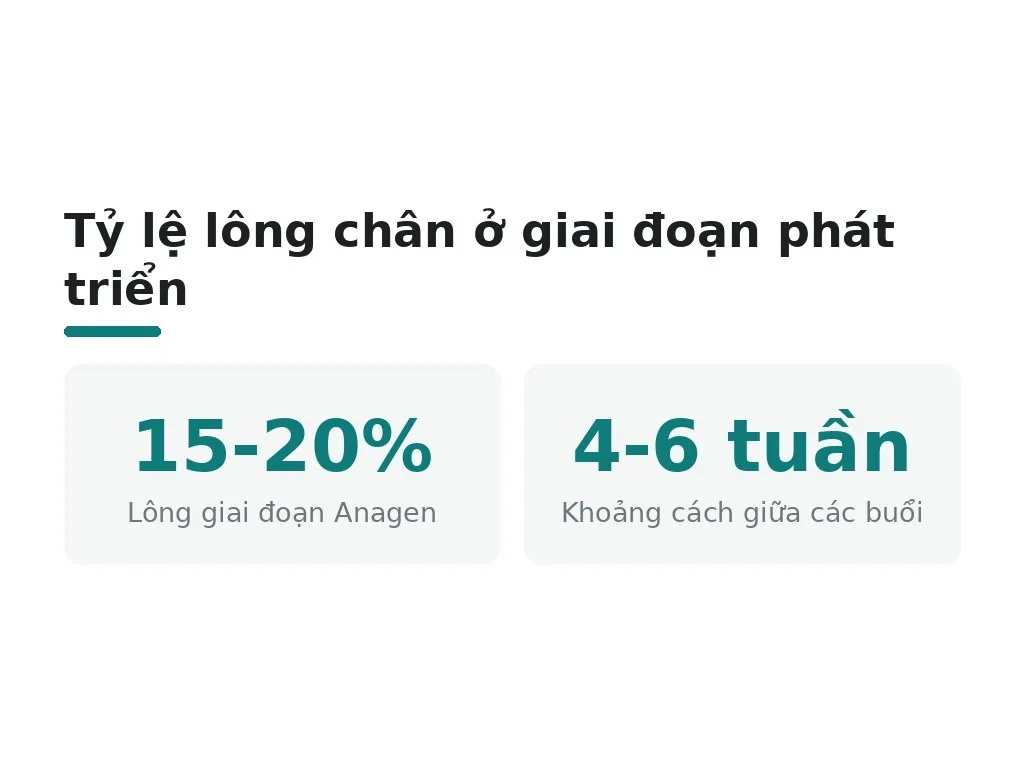 Tỷ lệ lông chân ở giai đoạn phát triển
