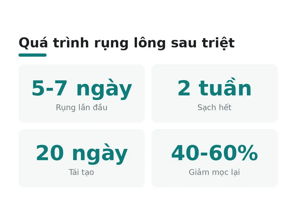 Quá trình rụng lông sau mỗi buổi triệt