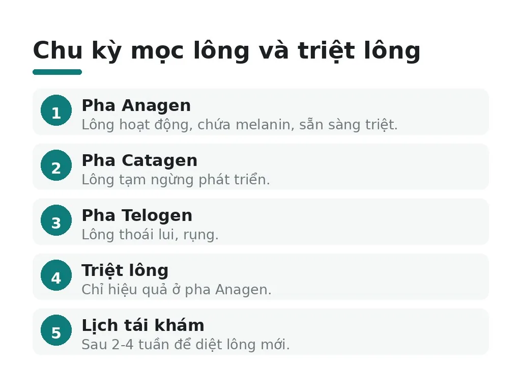 Chu kỳ mọc lông và triệt lông