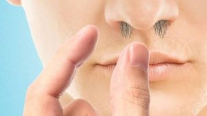 Melanin tạo màu lông mũi qua dạng eumelanin và pheomelanin, nhưng quá trình sản xuất này sẽ suy giảm dần theo tuổi tác.