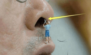 Dùng kéo đầu tròn chuyên dụng hoặc máy tỉa tự động đã khử trùng giúp cắt lông mũi an toàn, tránh tổn thương niêm mạc.