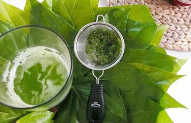 Triệt lông vĩnh viễn bằng lá trầu không: sự thật y khoa